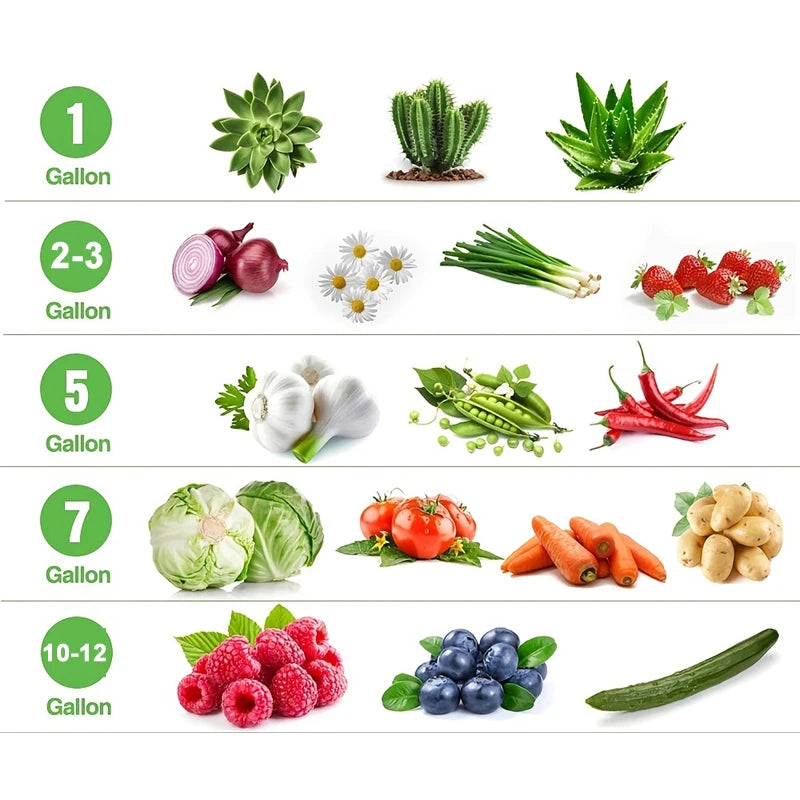 Thickened Nonwoven Grow Bags 1 to 12 Gallons with Handles for Vegetables