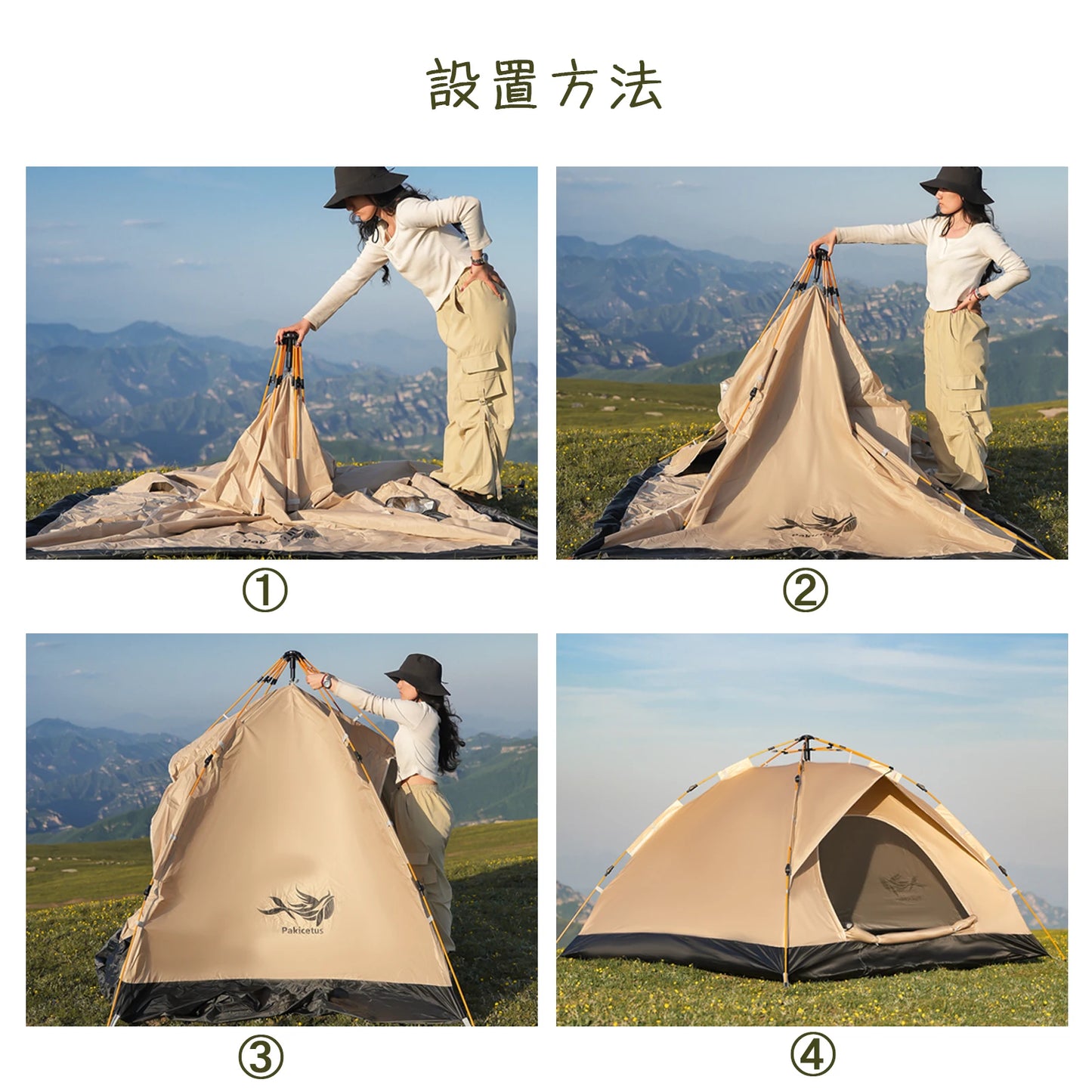 2 To 4 Person Windproof Camping Tent Easy Setup Lightweight Outdoor Family Tent