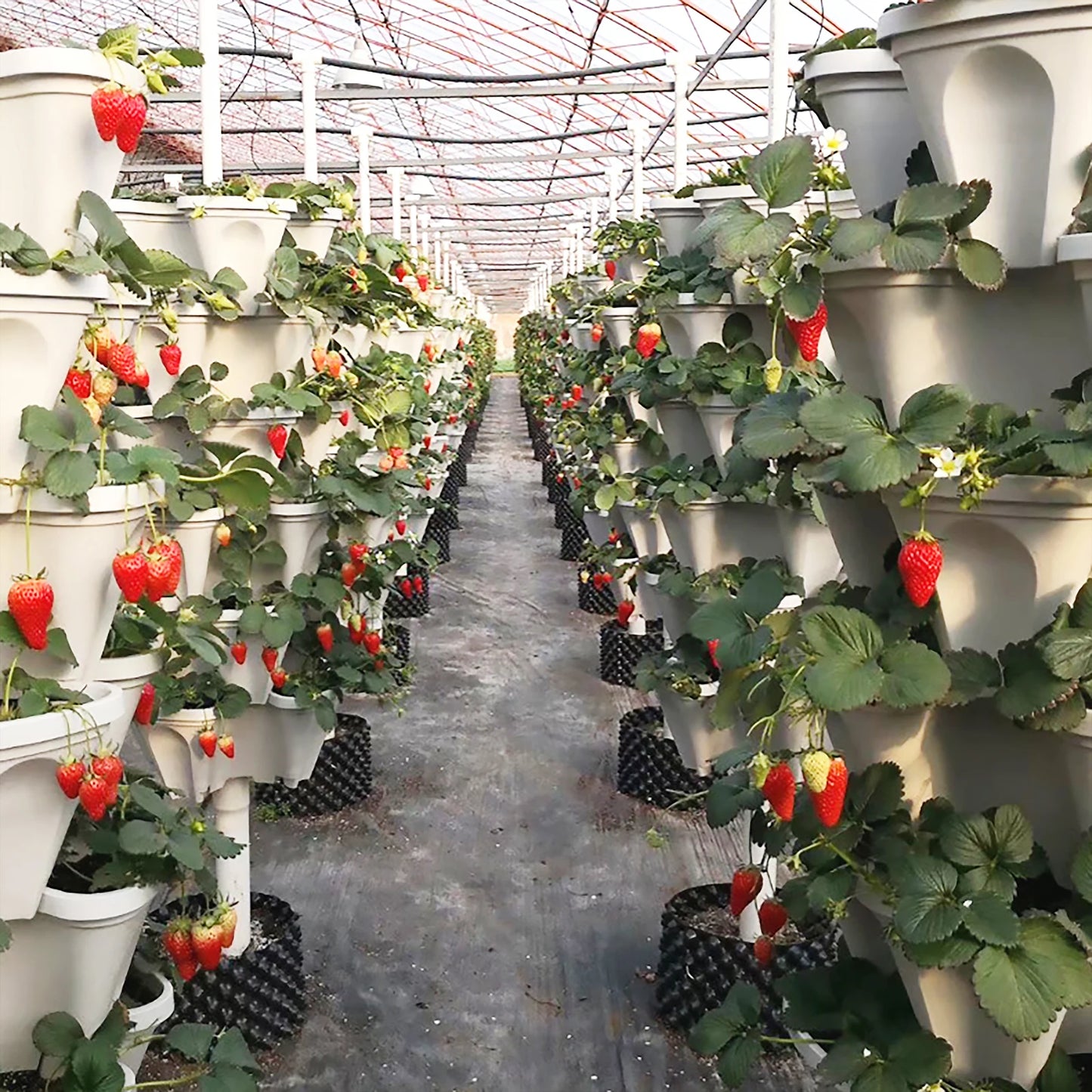 Stackable Vertical Planter Pots For Garden Strawberry Plants