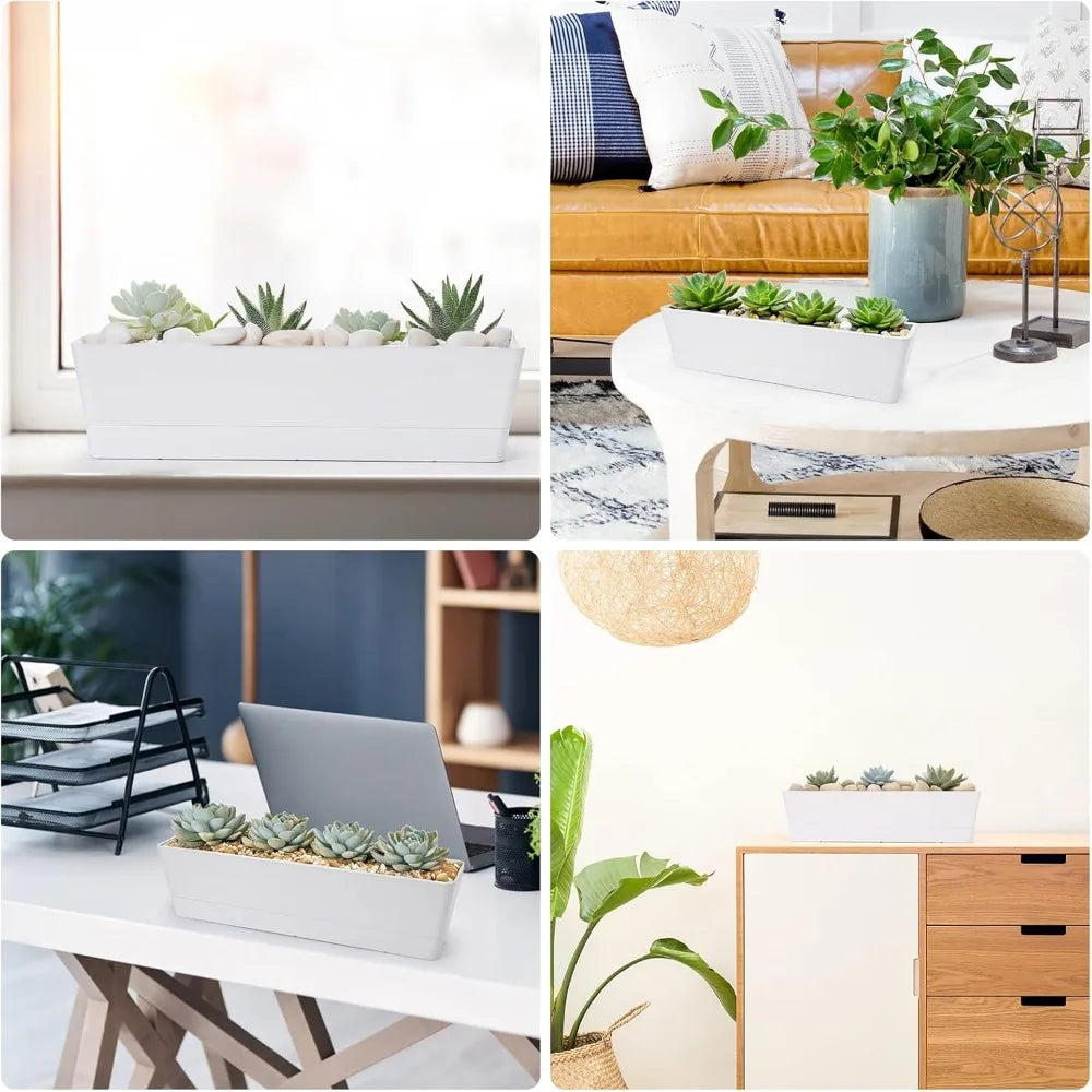 16x3.8 Inch Window Box Planter With Tray For Succulents Herbs Flowers