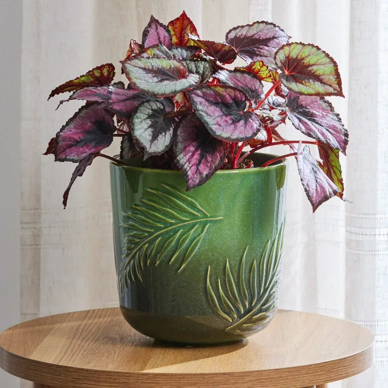8 Inch Ceramic Planter With Botanical Design For Indoor And Outdoor Plants