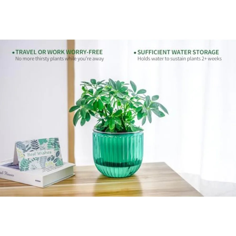 2 Pack Self Watering Hanging Planters 6.5 Inch Transparent PET Pots Emerald