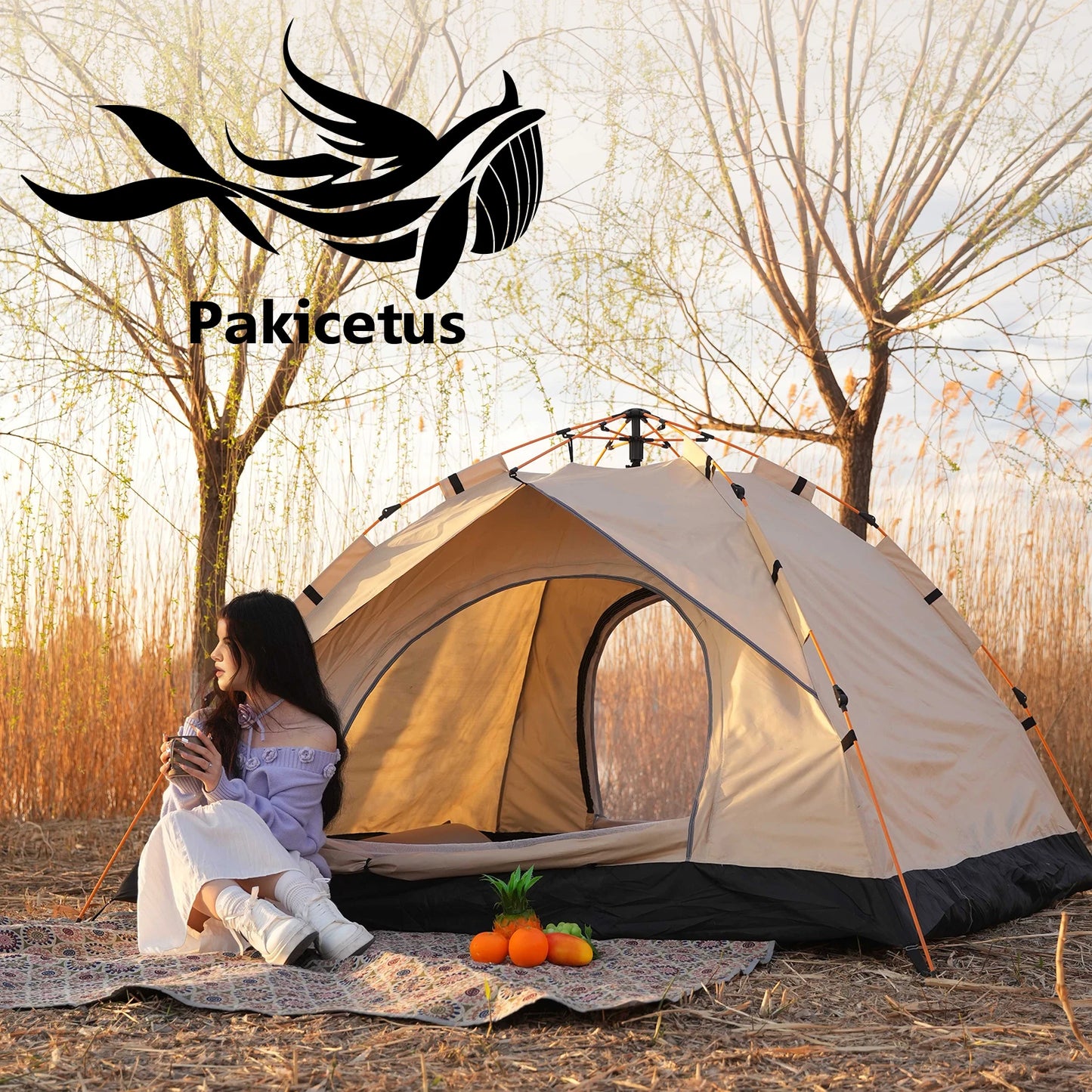 2 To 4 Person Windproof Camping Tent Easy Setup Lightweight Outdoor Family Tent